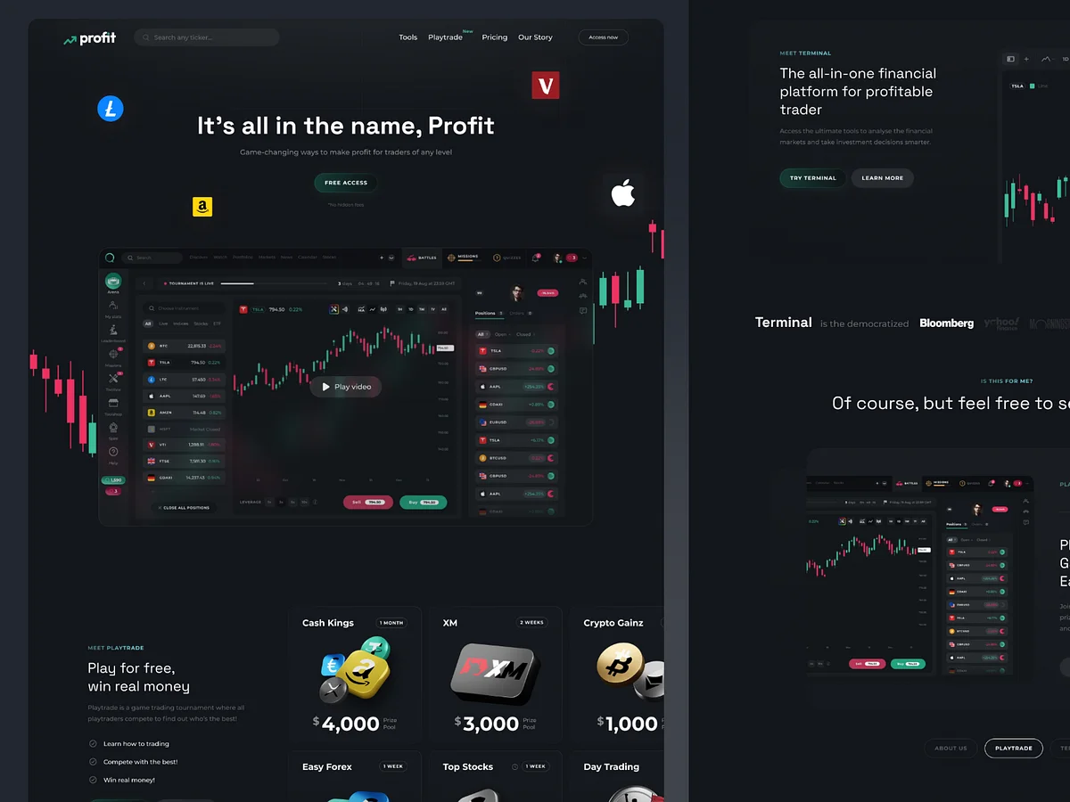 Fintech Website Concept